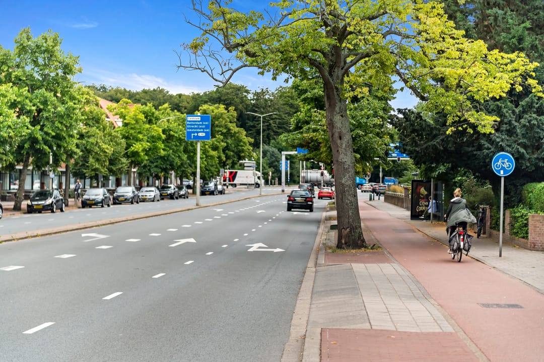 Photo 71 of Van Alkemadelaan 2