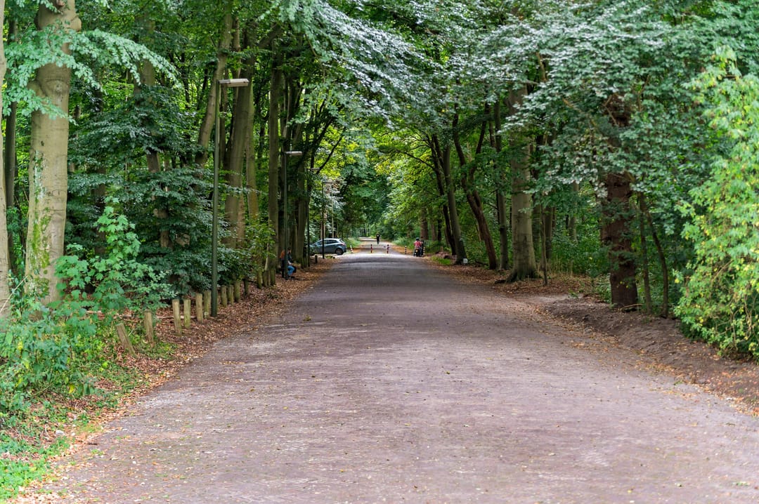 Photo 73 of Van Alkemadelaan 2