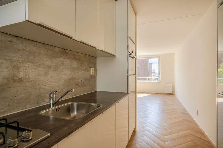 Foto 13 van Palaceplein 41