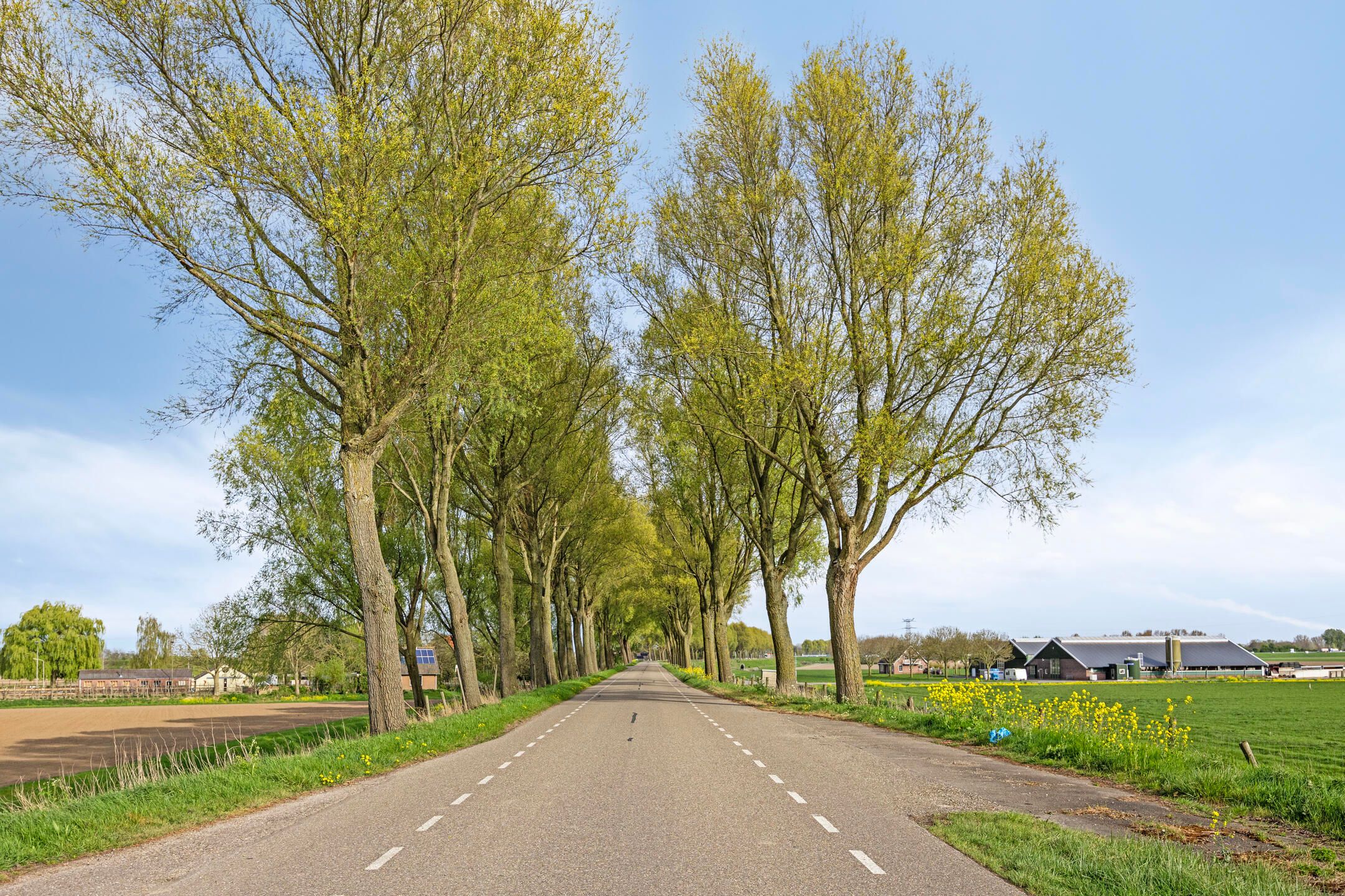 Photo 57 of Molendijk 24
