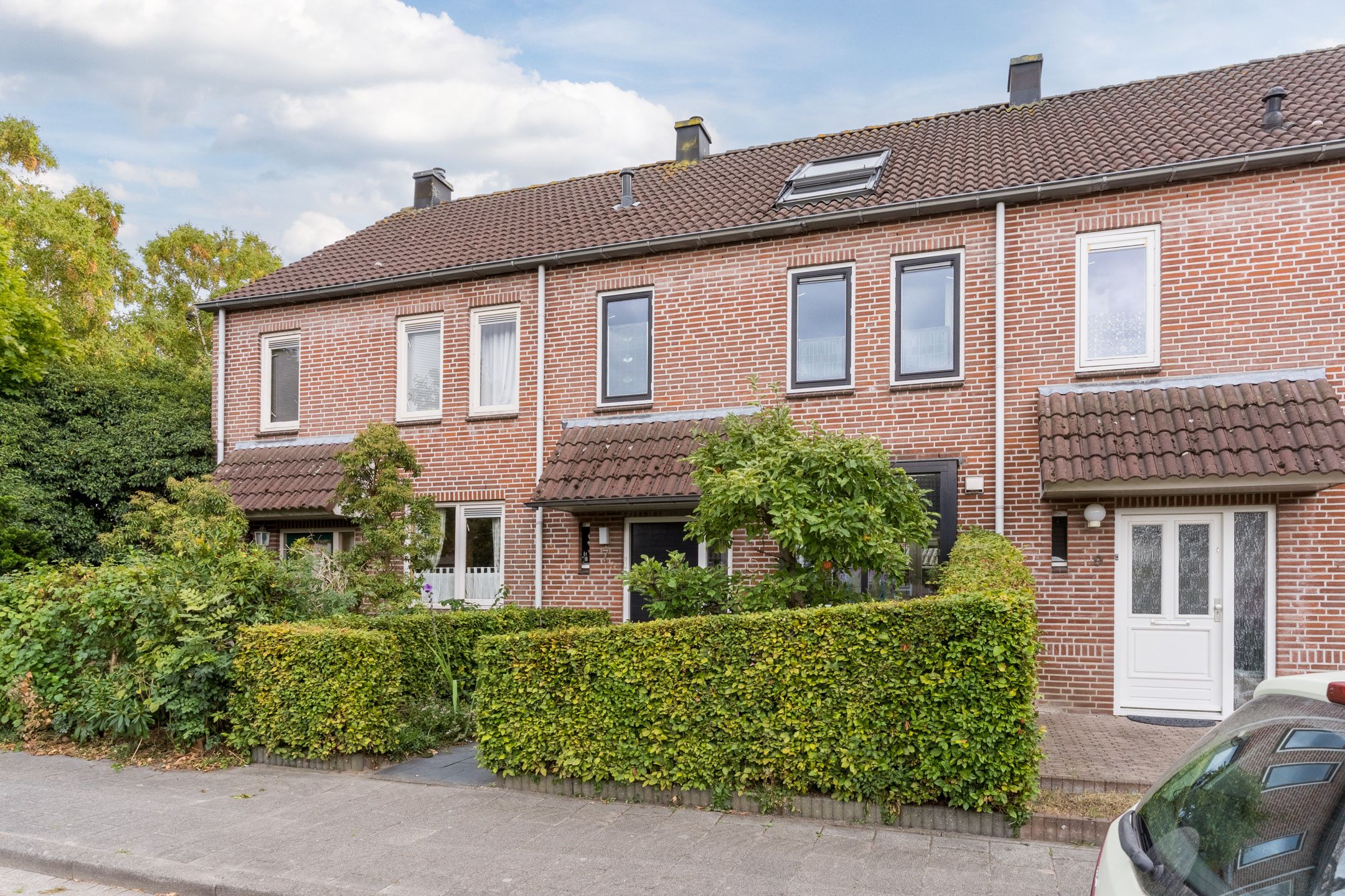 Foto 6 van Grasklokje 7