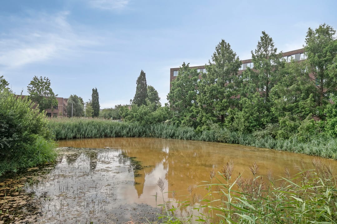 Foto 28 van Tonselsedreef 89