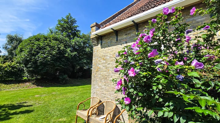 Photo 21 of Duinweg Oosterend 6