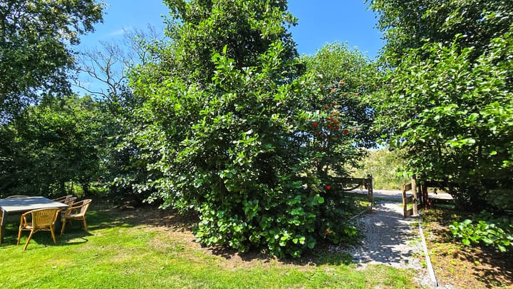 Photo 25 of Duinweg Oosterend 6