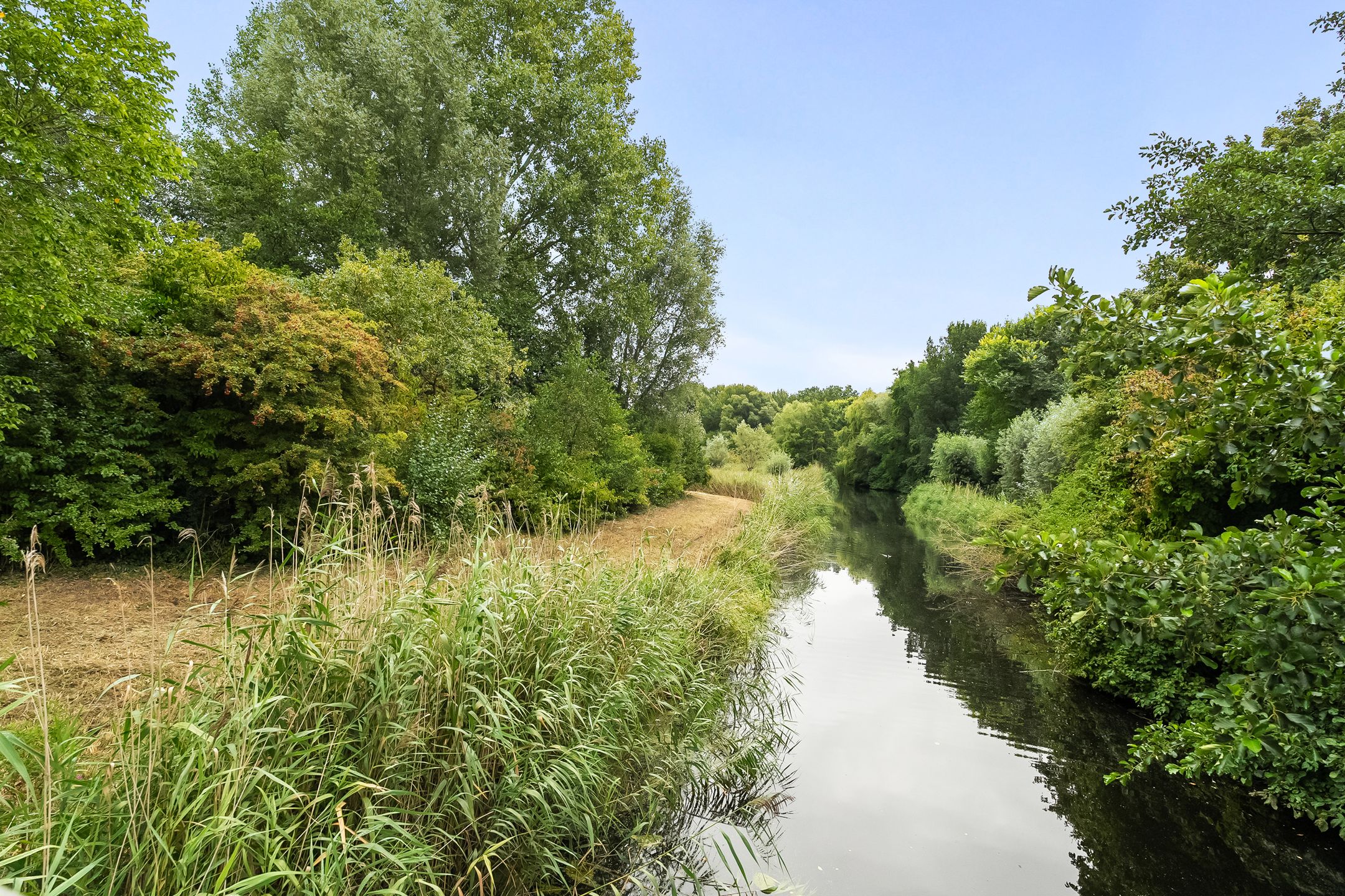 Foto 36 van Buizerdweg 110