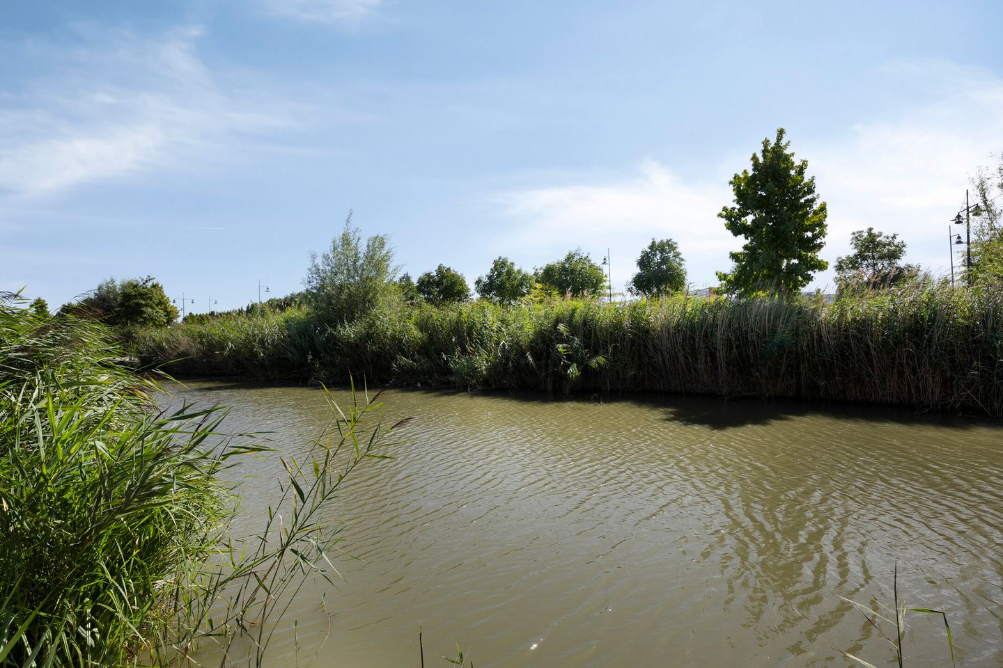 Foto 65 van Eiland 14