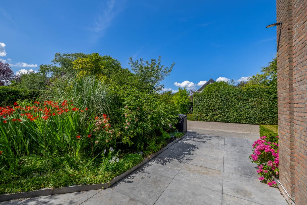 Foto 47 van Zomerland 85