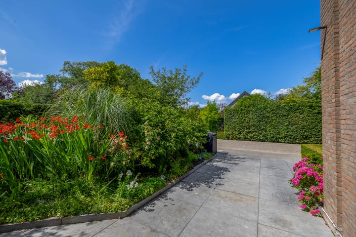 Foto 47 van Zomerland 85