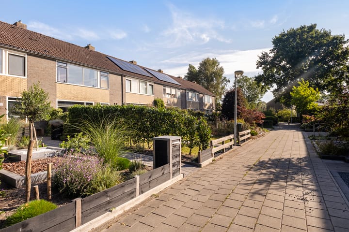 Photo 45 of de Paden 46