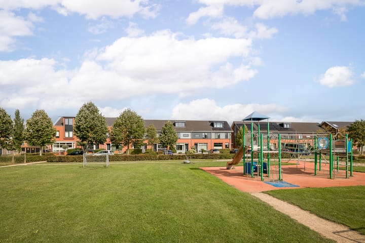 Foto 43 van Rietgans 11