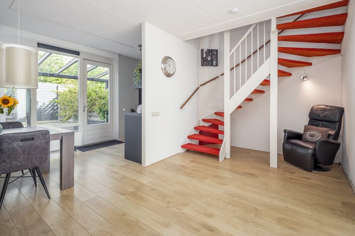 Foto 11 van Rietgans 11