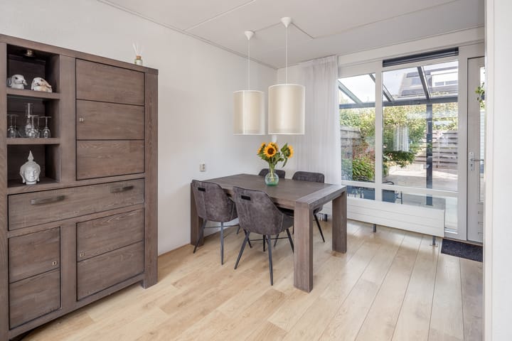 Foto 12 van Rietgans 11