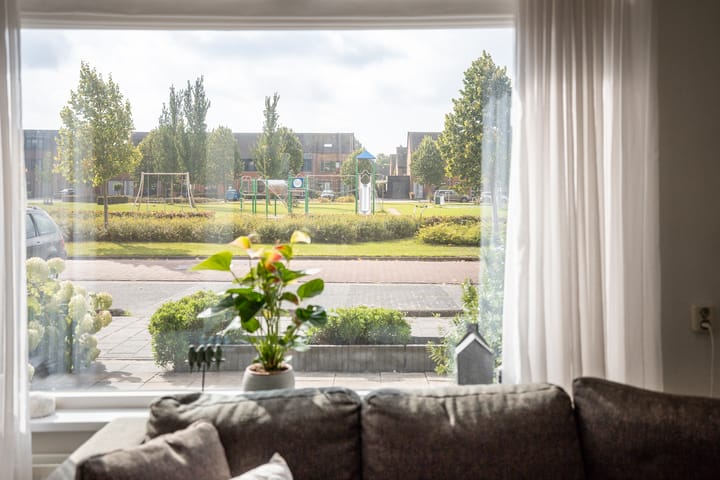 Foto 17 van Rietgans 11