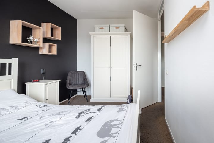 Foto 19 van Rietgans 11