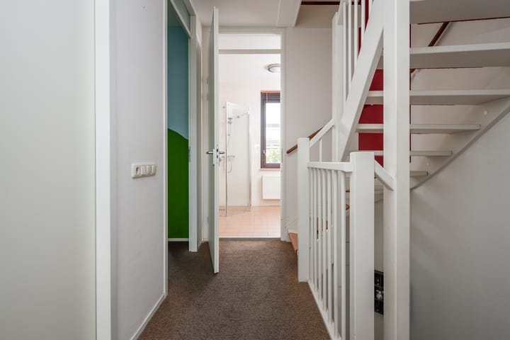 Foto 20 van Rietgans 11