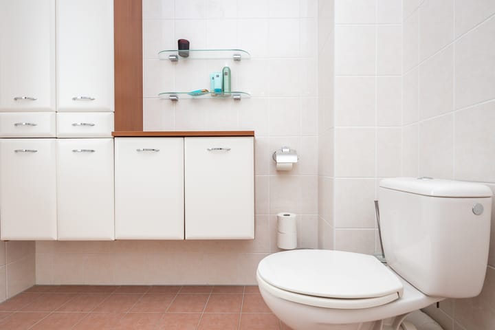 Foto 25 van Rietgans 11