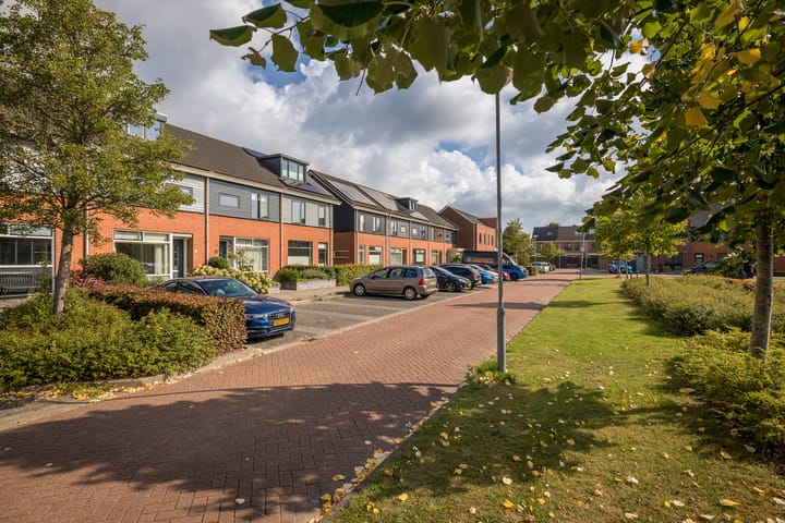 Foto 42 van Rietgans 11