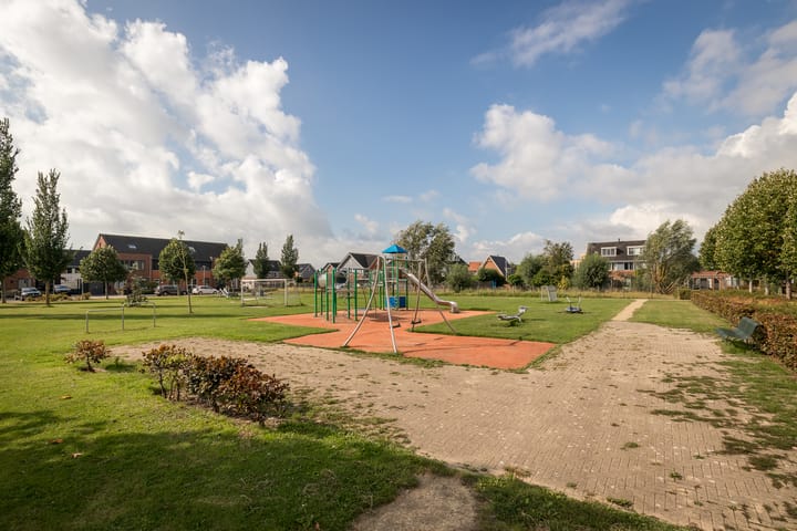 Foto 45 van Rietgans 11