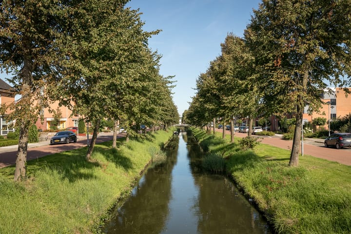 Foto 47 van Rietgans 11