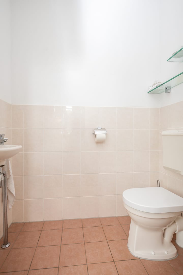 Foto 57 van Rietgans 11