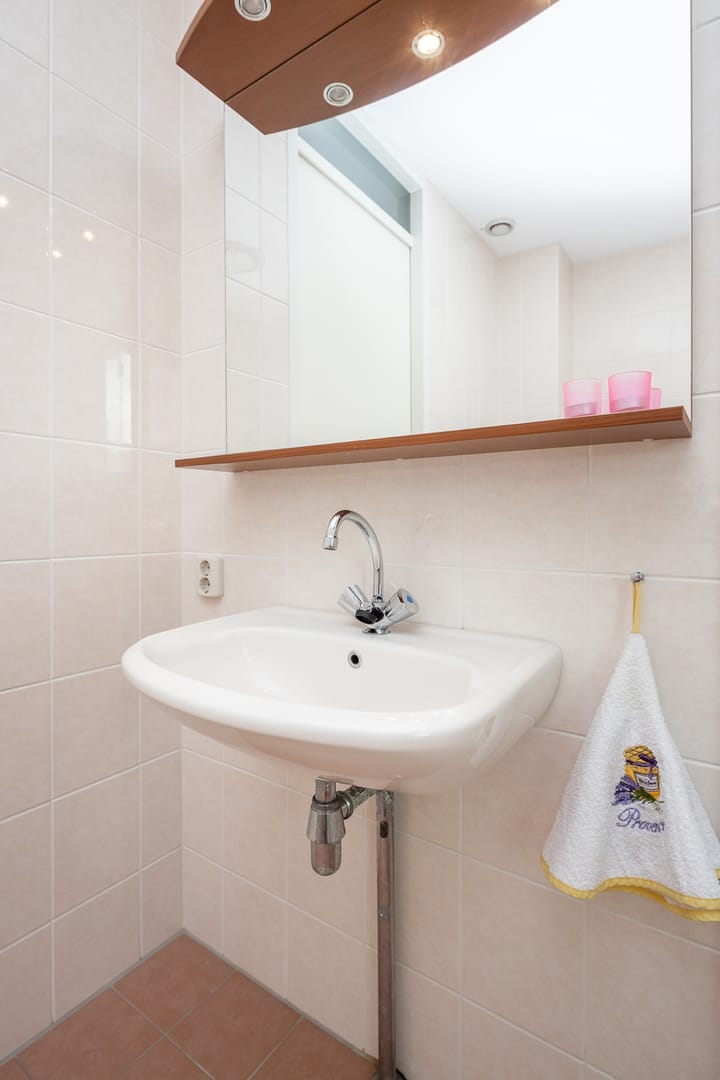 Foto 60 van Rietgans 11