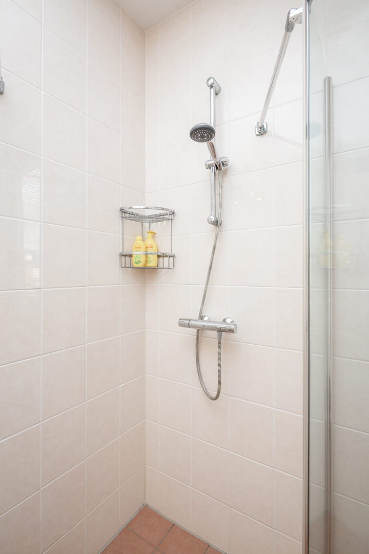 Foto 61 van Rietgans 11