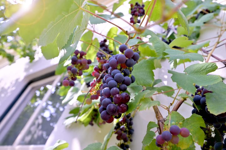 Foto 47 van Arnhemsestraat 23