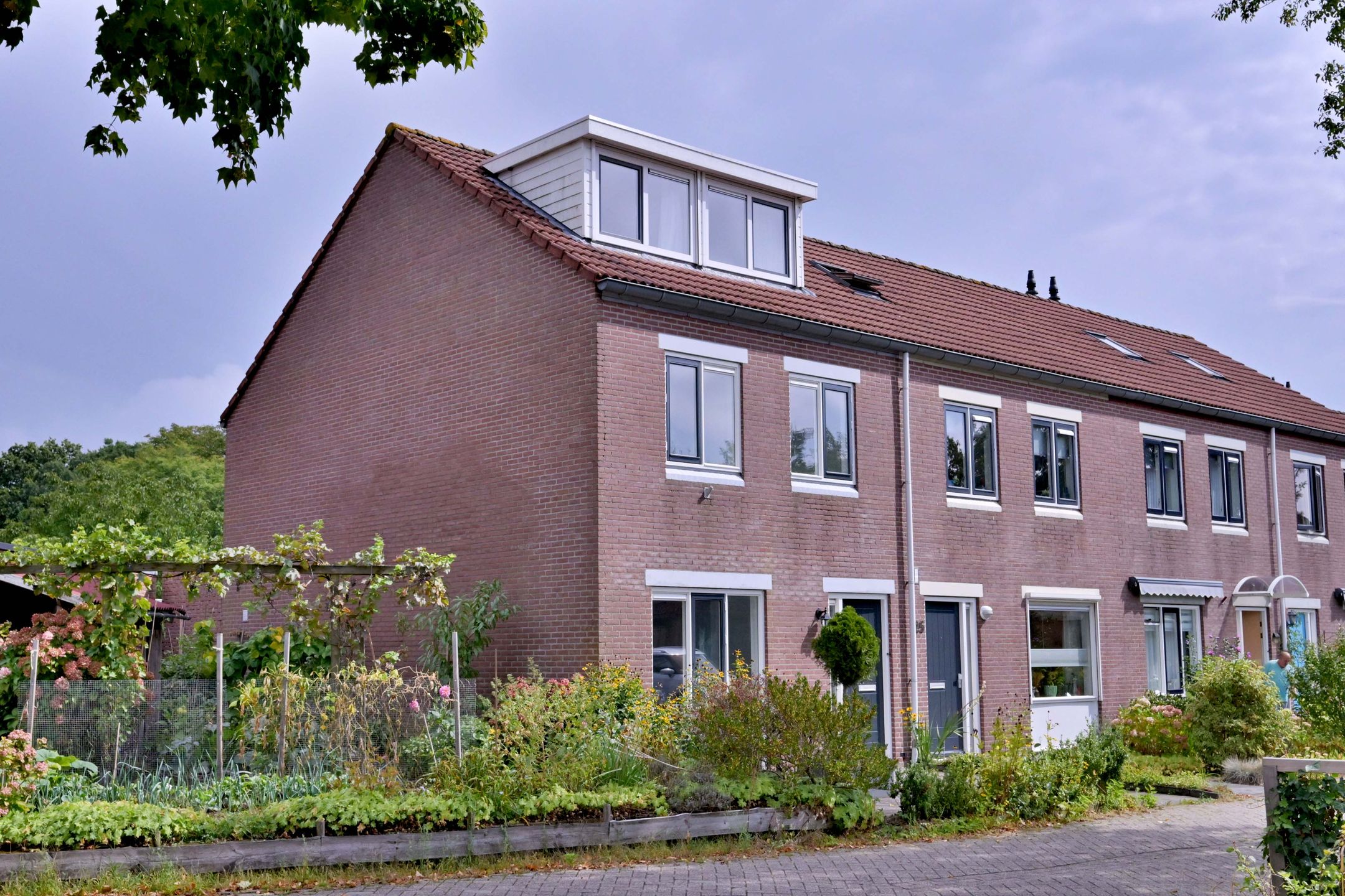 P. Reichholtstraat 23 
