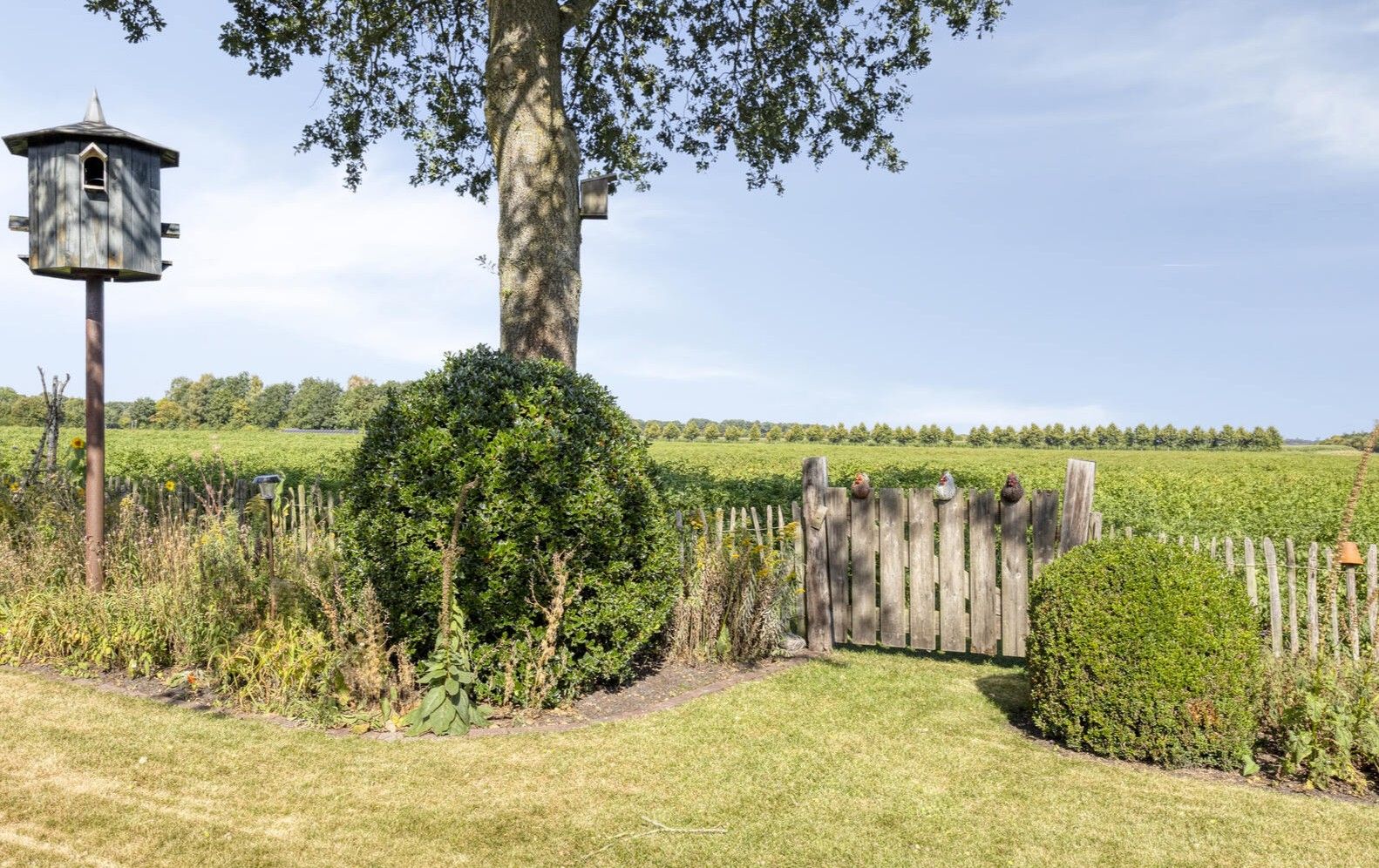 Photo 60 of Herenstreek 33