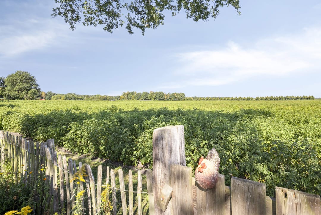 Photo 61 of Herenstreek 33