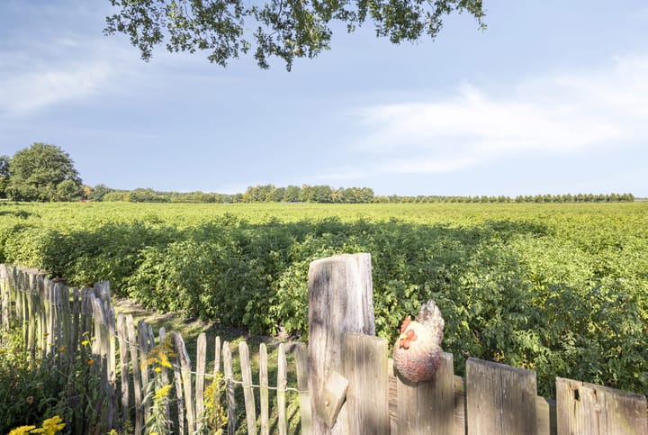 Foto 61 van Herenstreek 33