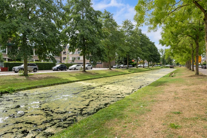 Foto 44 van Cipreslaan 10