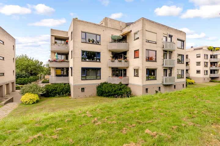 Foto 1 van Sterrekruid 59