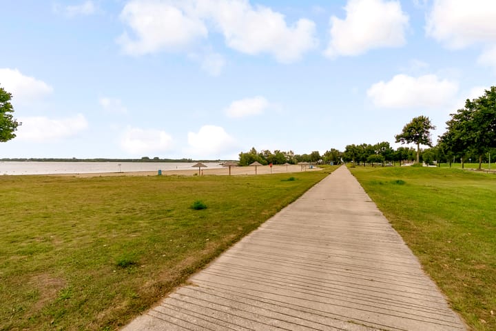 Foto 2 van Sterrekruid 59