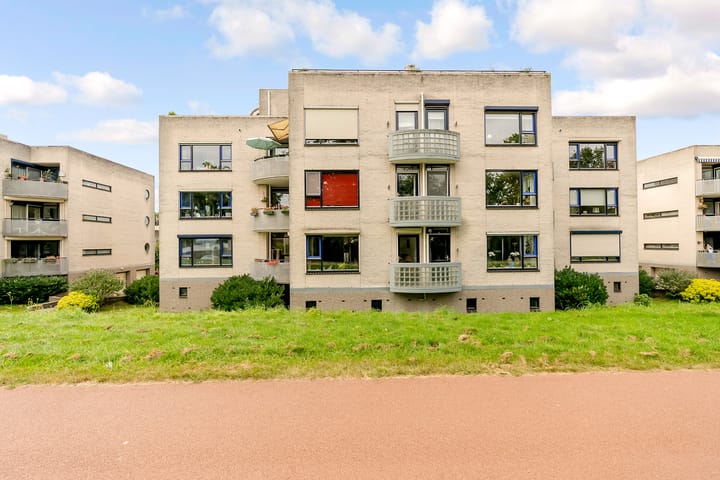 Foto 3 van Sterrekruid 59