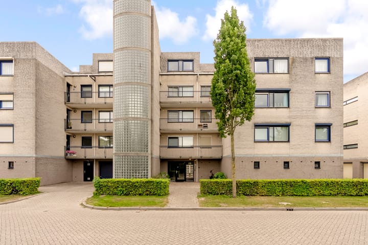 Foto 4 van Sterrekruid 59