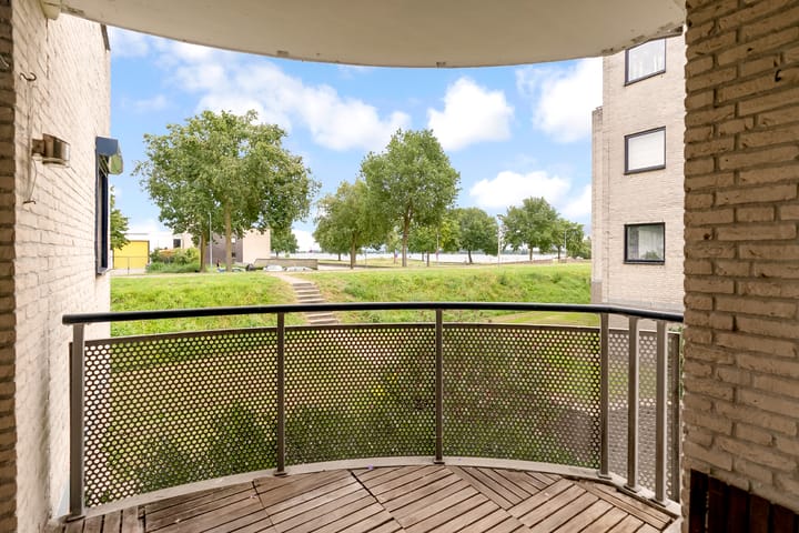 Foto 11 van Sterrekruid 59