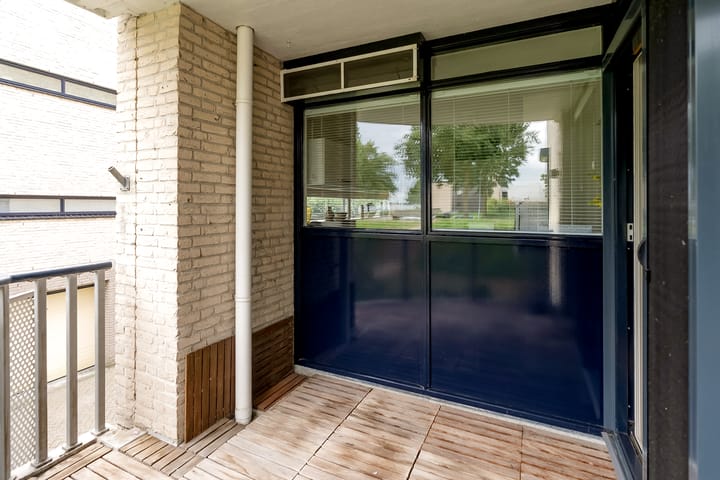 Foto 13 van Sterrekruid 59