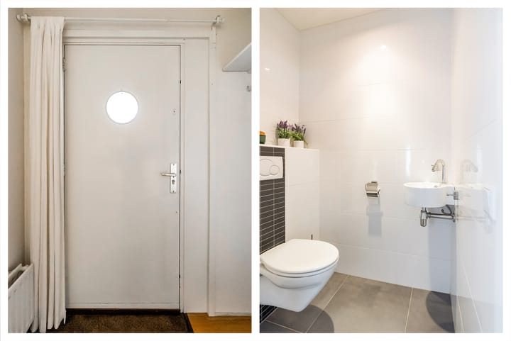 Foto 25 van Sterrekruid 59