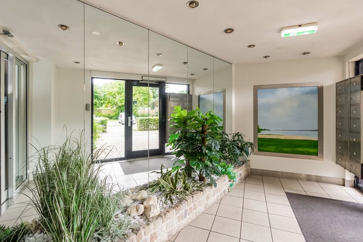 Foto 27 van Sterrekruid 59