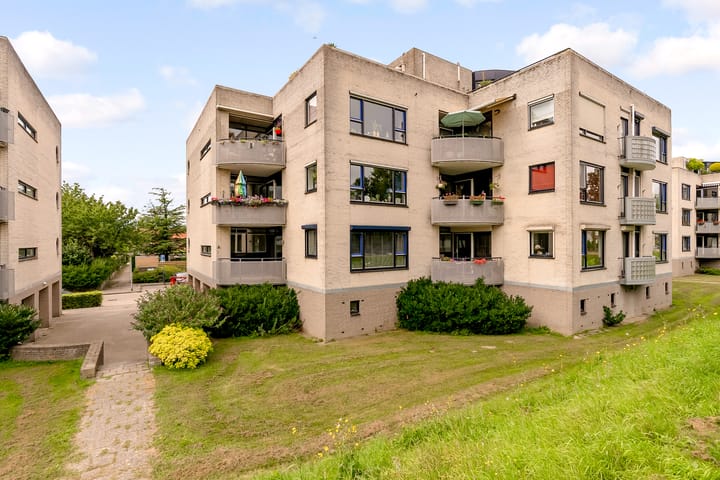 Foto 29 van Sterrekruid 59