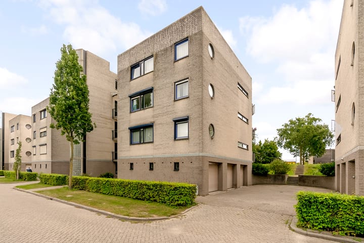 Foto 30 van Sterrekruid 59