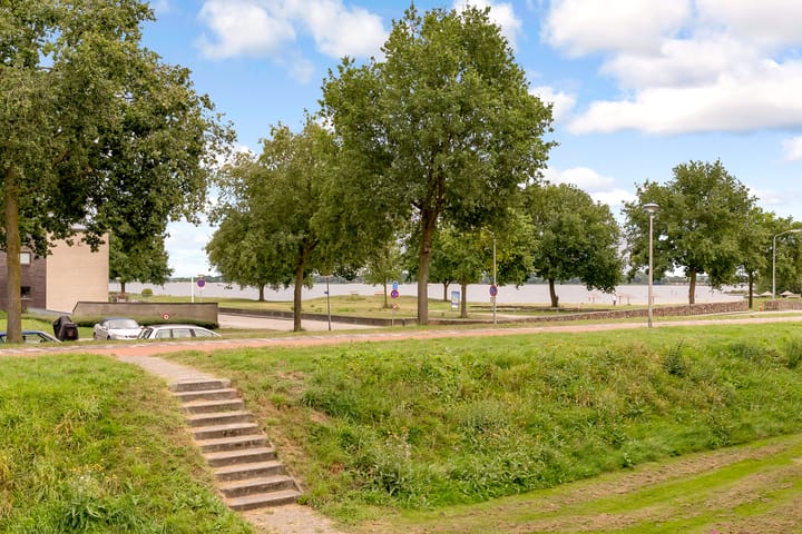 Foto 31 van Sterrekruid 59