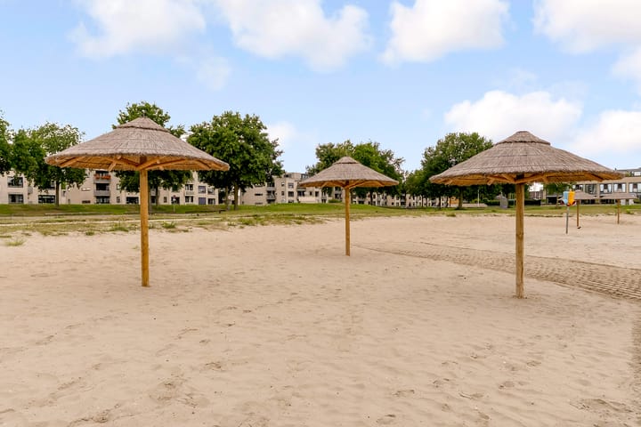 Foto 33 van Sterrekruid 59