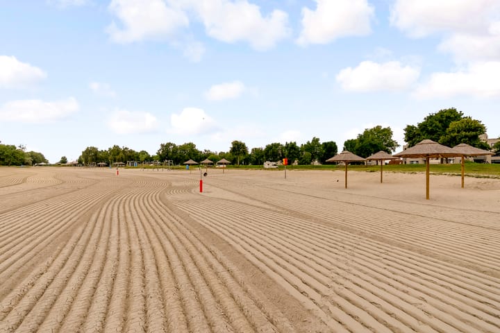 Foto 34 van Sterrekruid 59