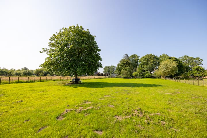 Foto 8 van Zijderveldselaan 84-A