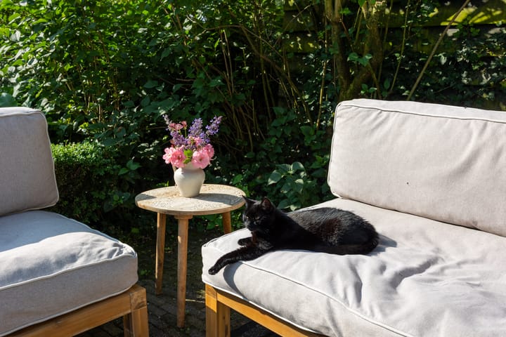 Foto 37 van Zijderveldselaan 84-A