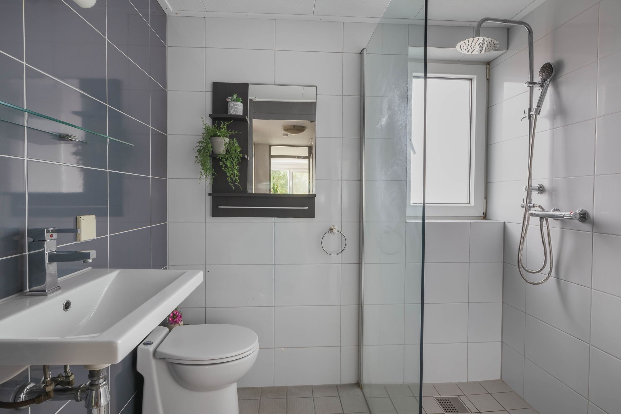 Photo 30 of Dubbelmonde 28