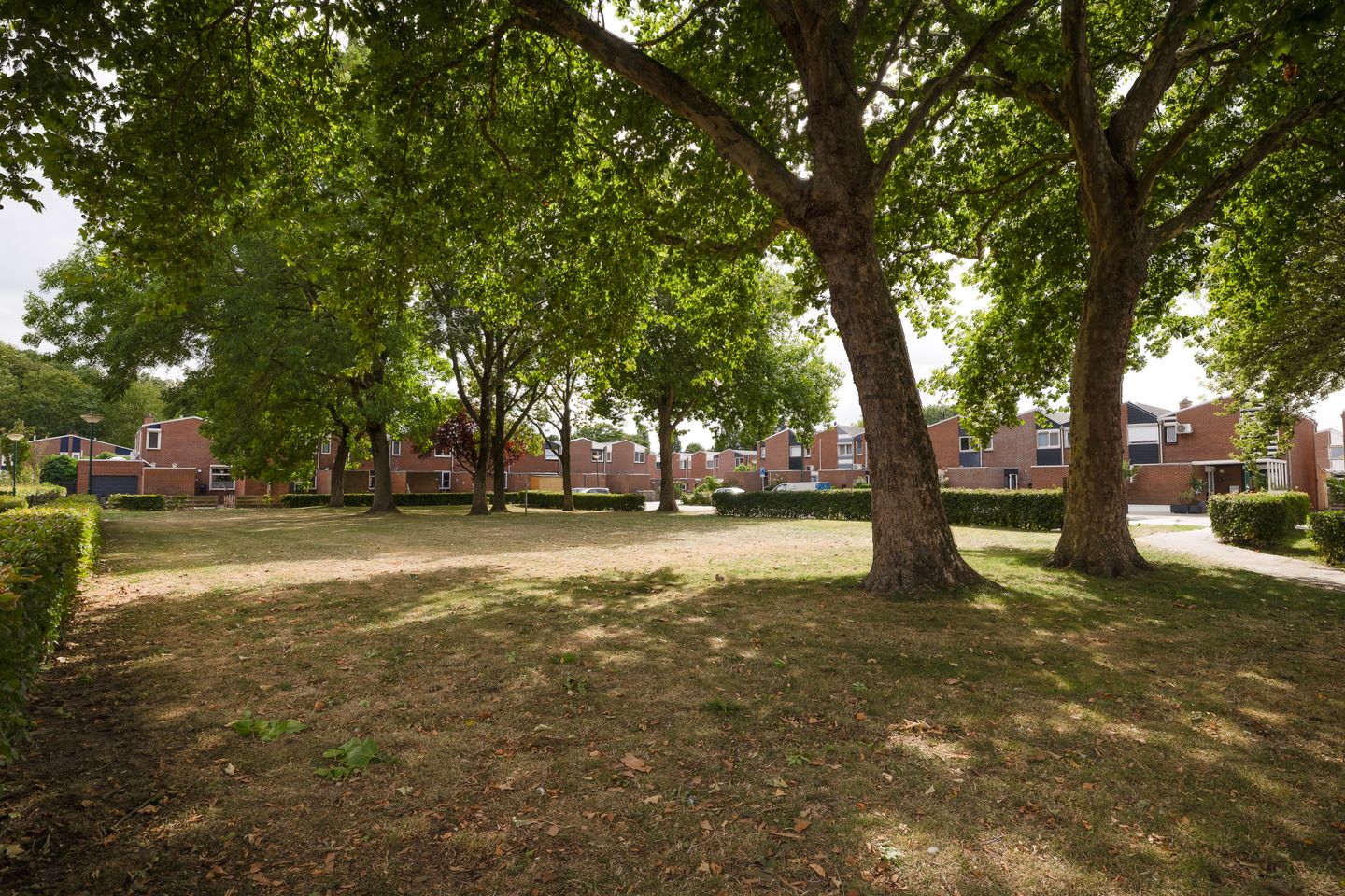 Photo 35 of Dubbelmonde 28