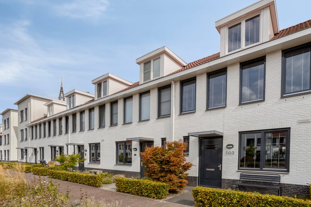 Foto 31 van Pastoor Sickingstraat 103